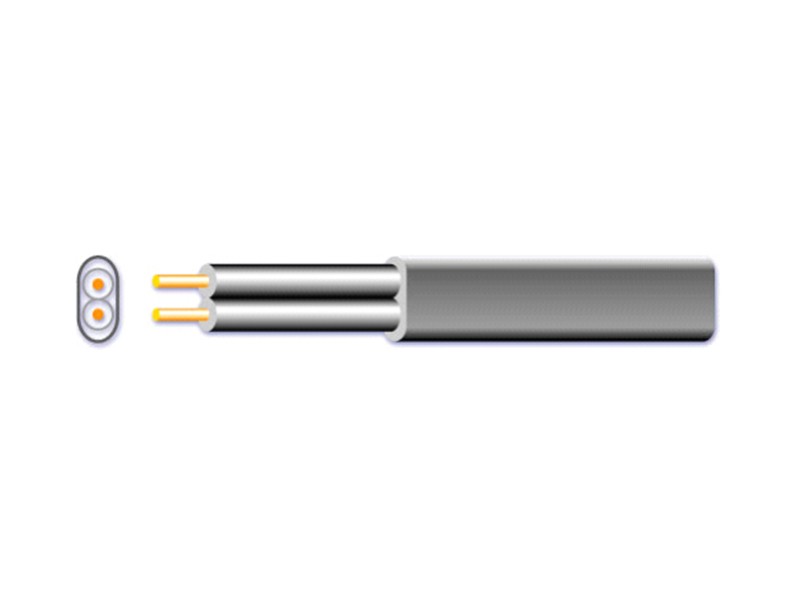 NISPT-1